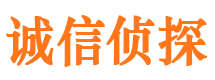 崇阳市侦探公司